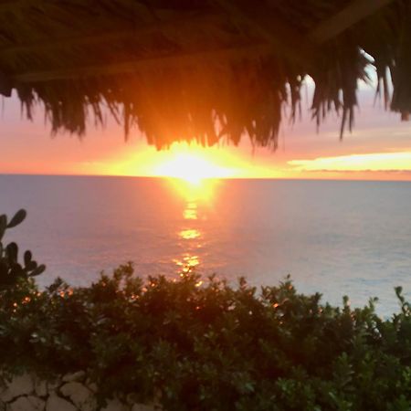 Stunning Ocean View Villa Negril Dış mekan fotoğraf