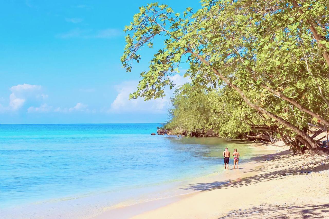 Stunning Ocean View Villa Negril Dış mekan fotoğraf